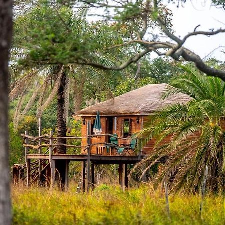 Mansa Musso Lodge Sanyang Exterior foto